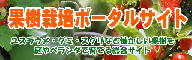 ユスラウメ・グミの木・スグリ（グーズベリー・カシス）・コクワ・桑の実｜果樹栽培ポータル